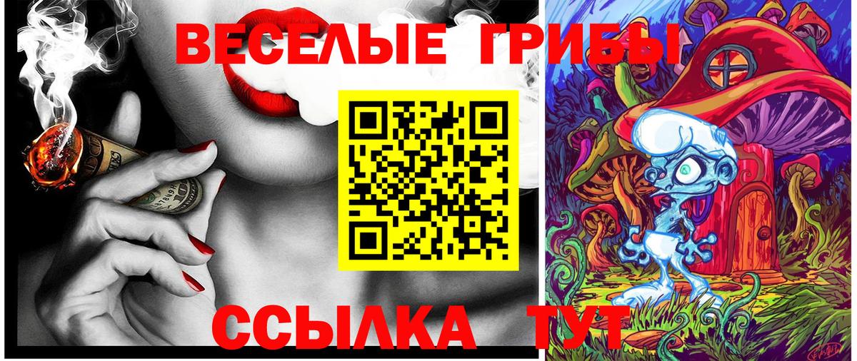 Псилоцибиновые грибы ЛСД  Псилоцибиновые грибы ЛСД  даркнет сайт  Междуреченск  Вход с VPN 