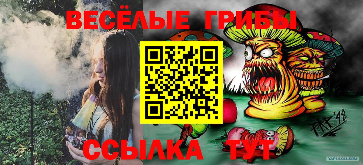 Псилоцибиновые грибы мицелий Междуреченск